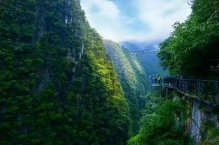 黔江最新爆料电话是多少,揭秘热线联系方式